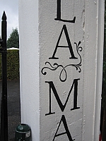 IMG_0828.jpg