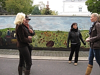 IMG_2619.jpg