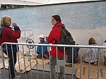 IMG_0262.jpg