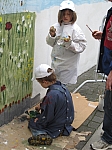 IMG_0285.jpg