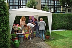 imm025_24.jpg