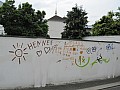 IMG_0181.jpg