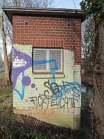 IMG_1007.jpg
